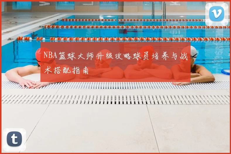 NBA篮球大师升级攻略球员培养与战术搭配指南