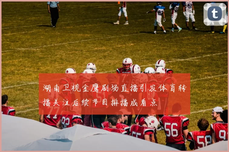 湖南卫视金鹰剧场直播引发体育转播关注后续节目排播成看点