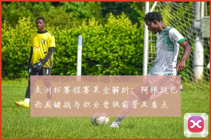 美洲杯赛程赛果全解析：阿根廷巴西关键战与积分晋级前景及看点